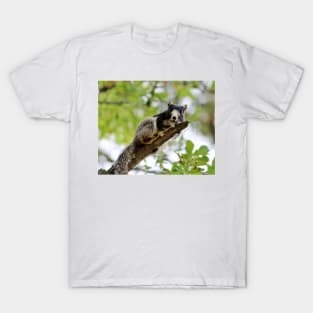 Fox Squirrel T-Shirt